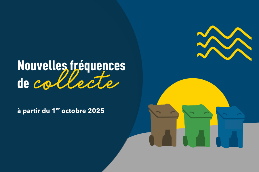 Actualité